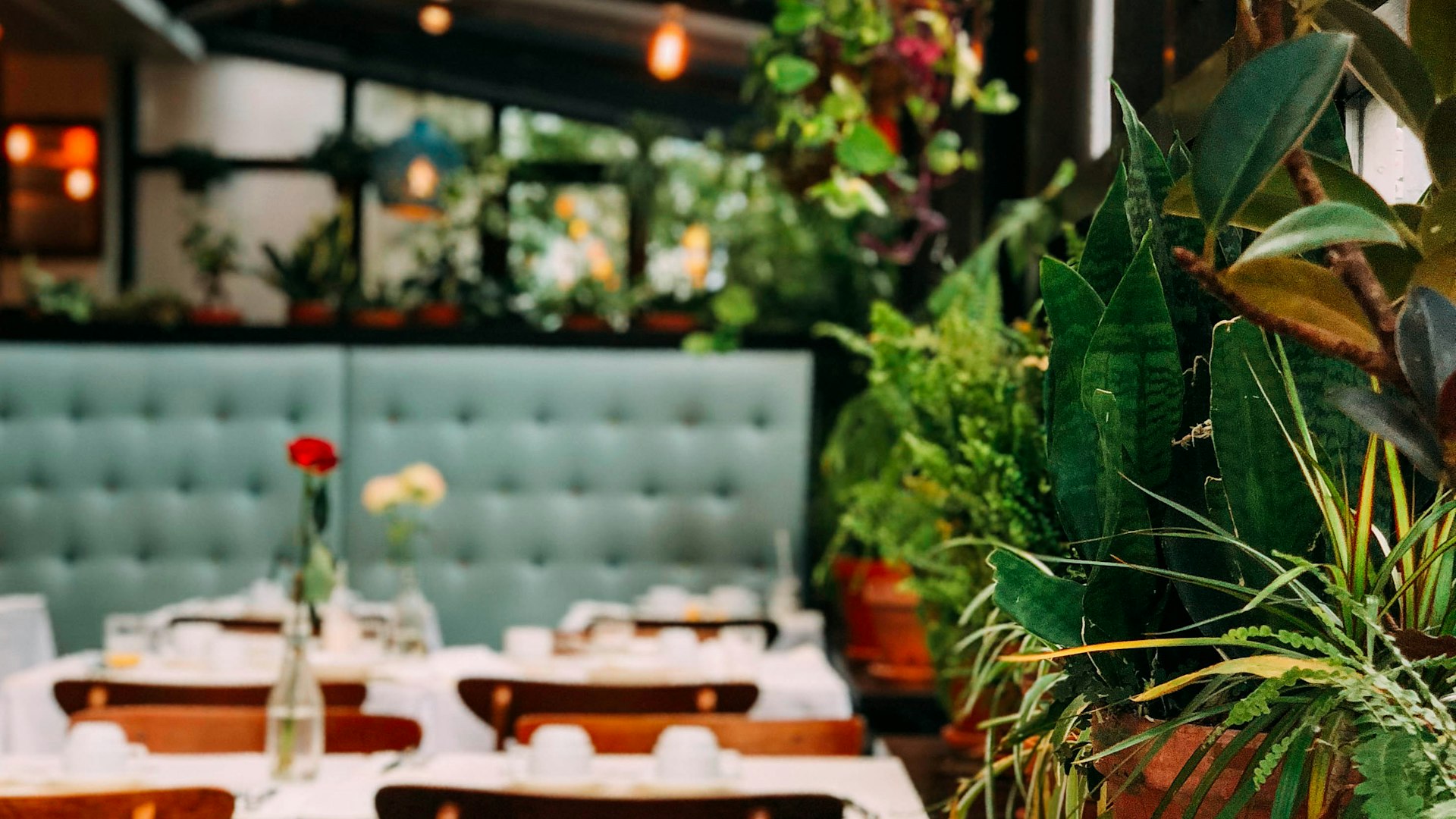 Data analytics and restaurant technology